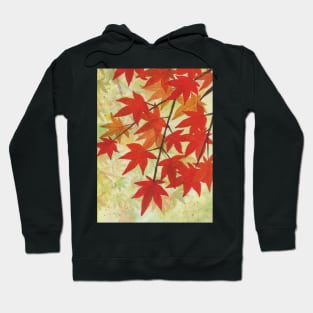 Autumn Leaves Hoodie